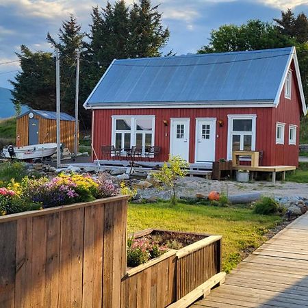 Cabin in Borgvåg Lofoten - Large Vestvagoy Exteriör bild